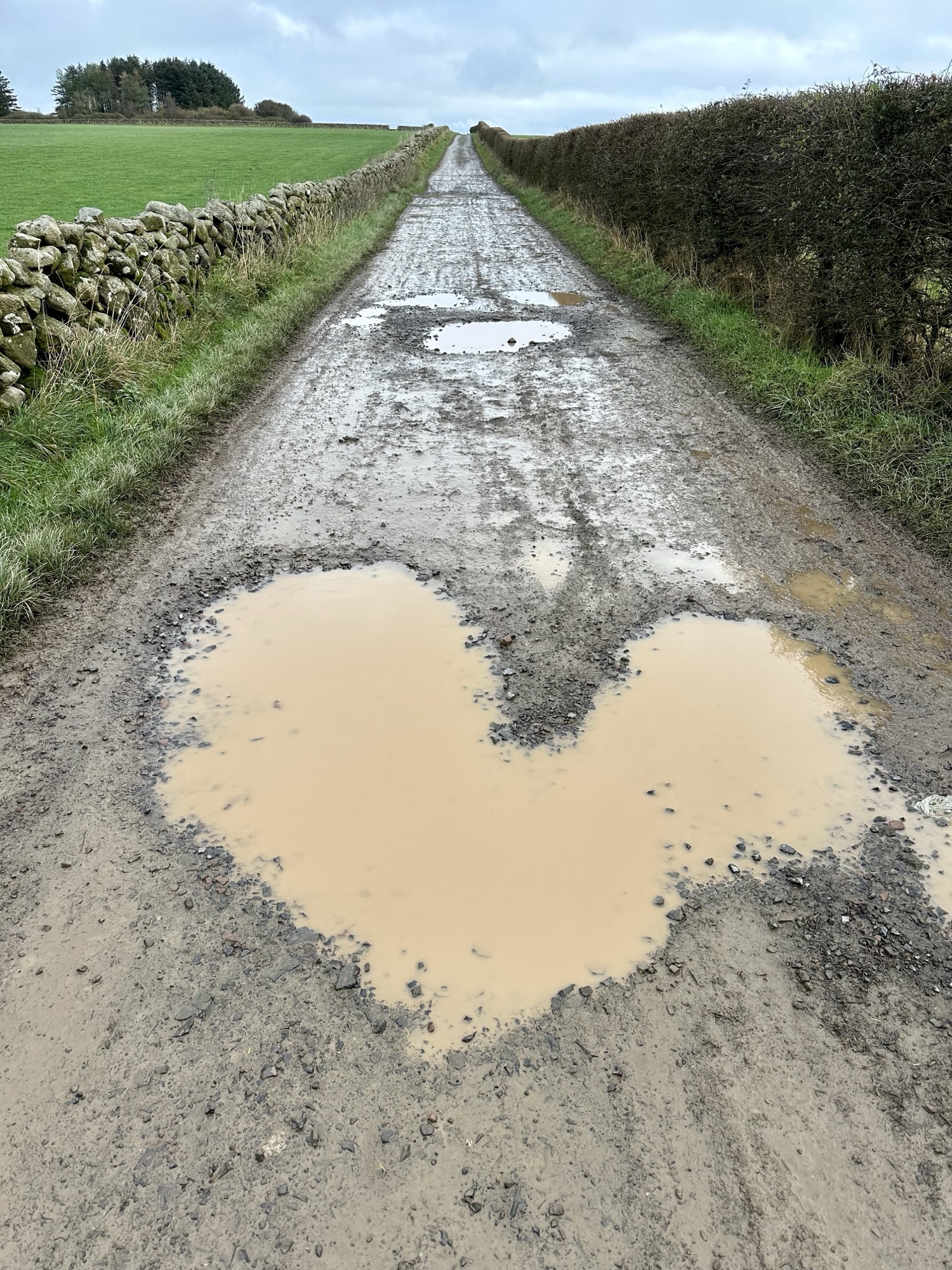 Day 15: Kirkcudbright to Dalbeattie