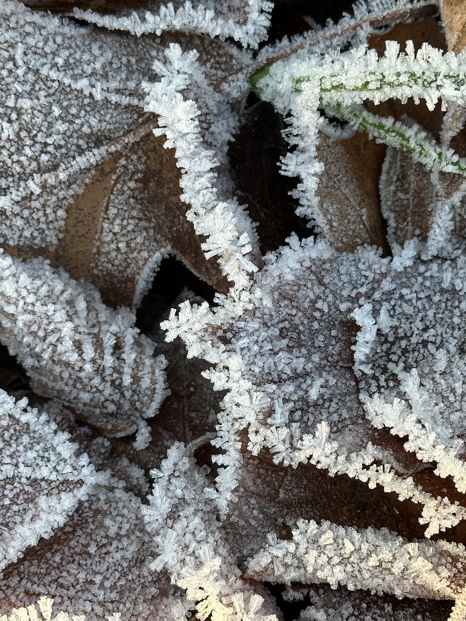 Day 21: Gretna to Burgh by Sands