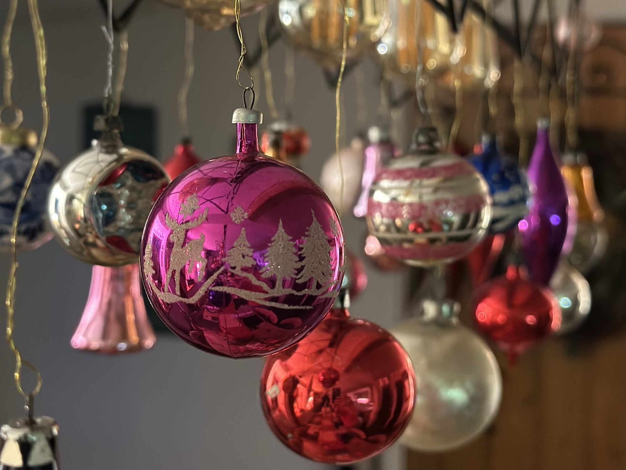 Days 55 and 56: rest days Christmas Day and Boxing Day