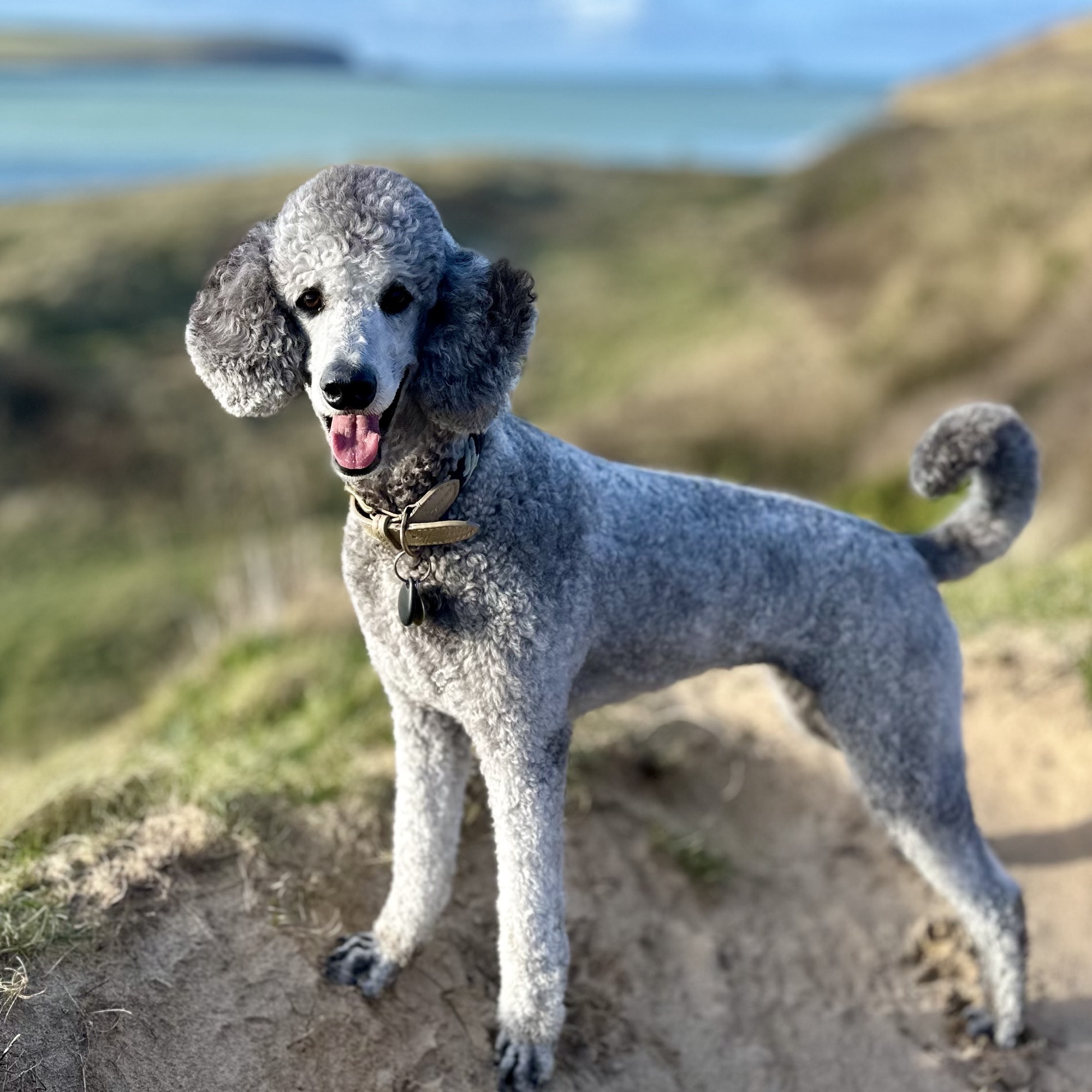 Day 116: Port Isaac to Rock