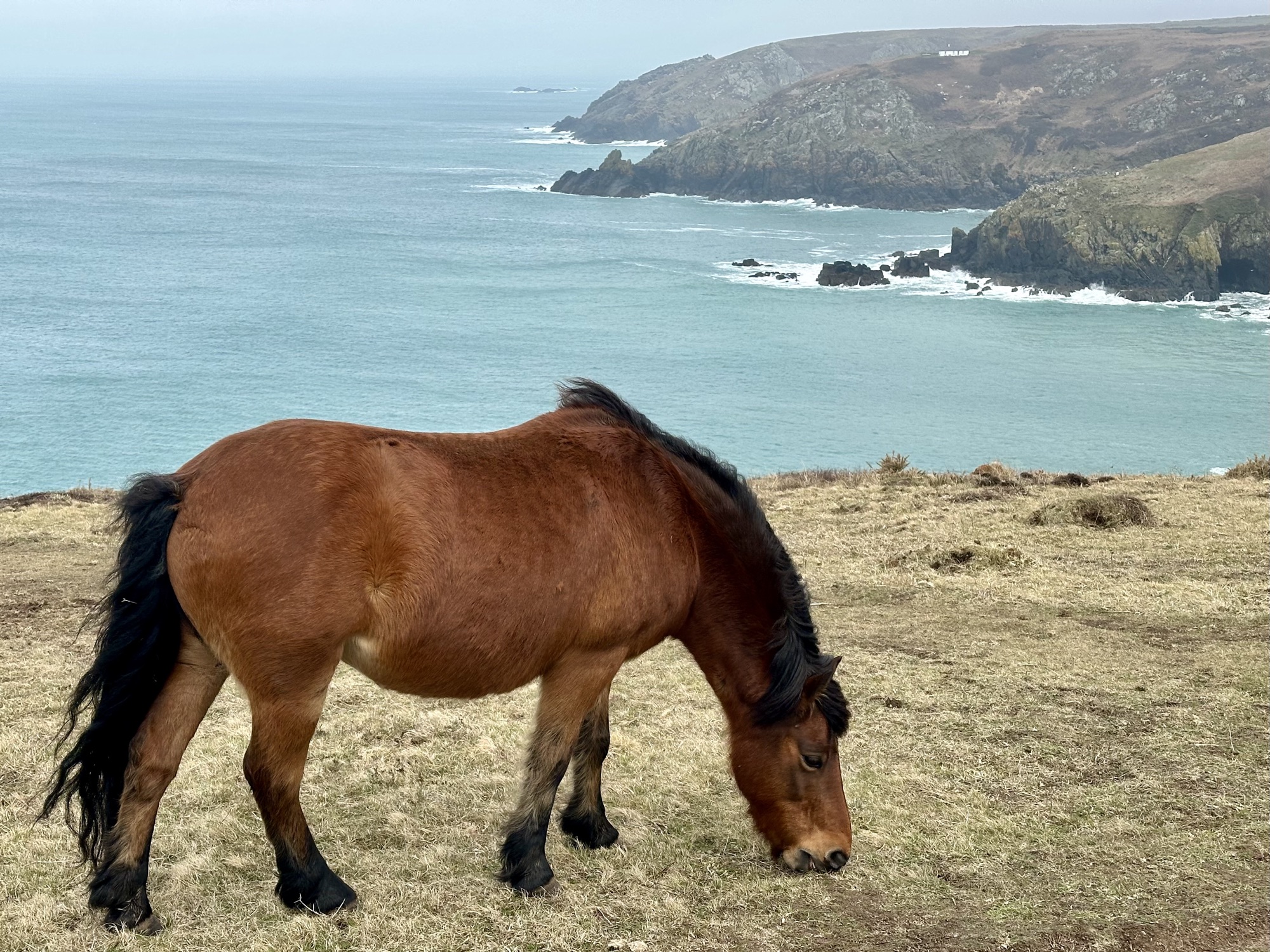 Day 126: St Ives to Pendeen Lighthouse