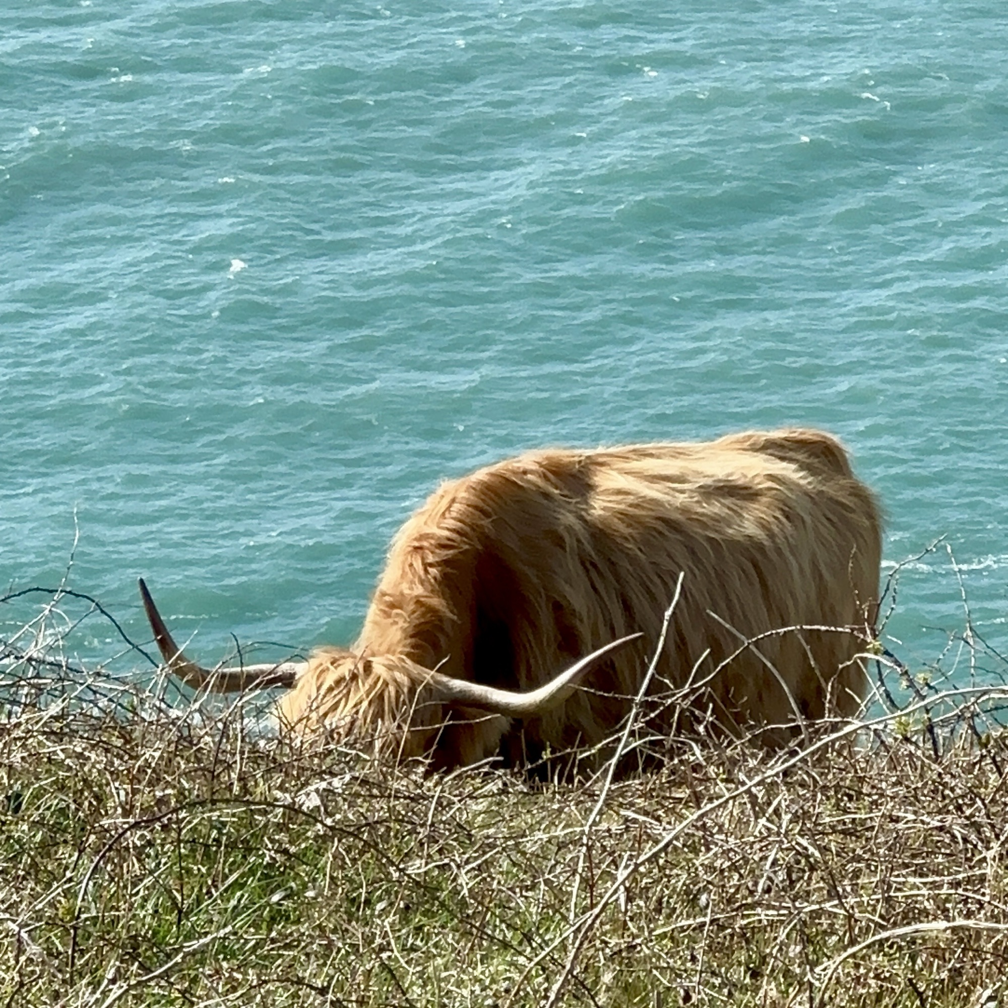 Day 142: Thurleston to Salcombe