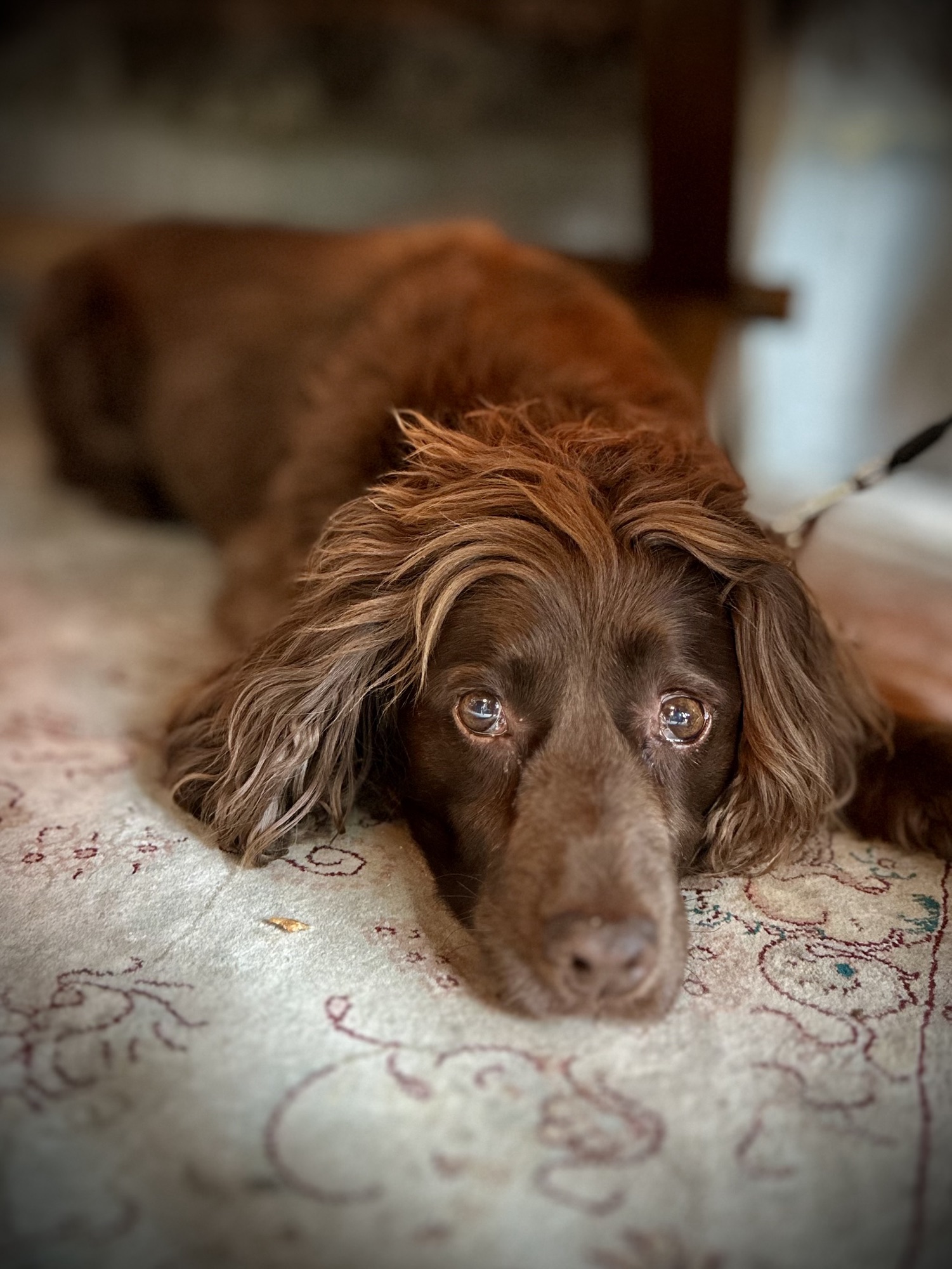 Day 169: rest day Brighton