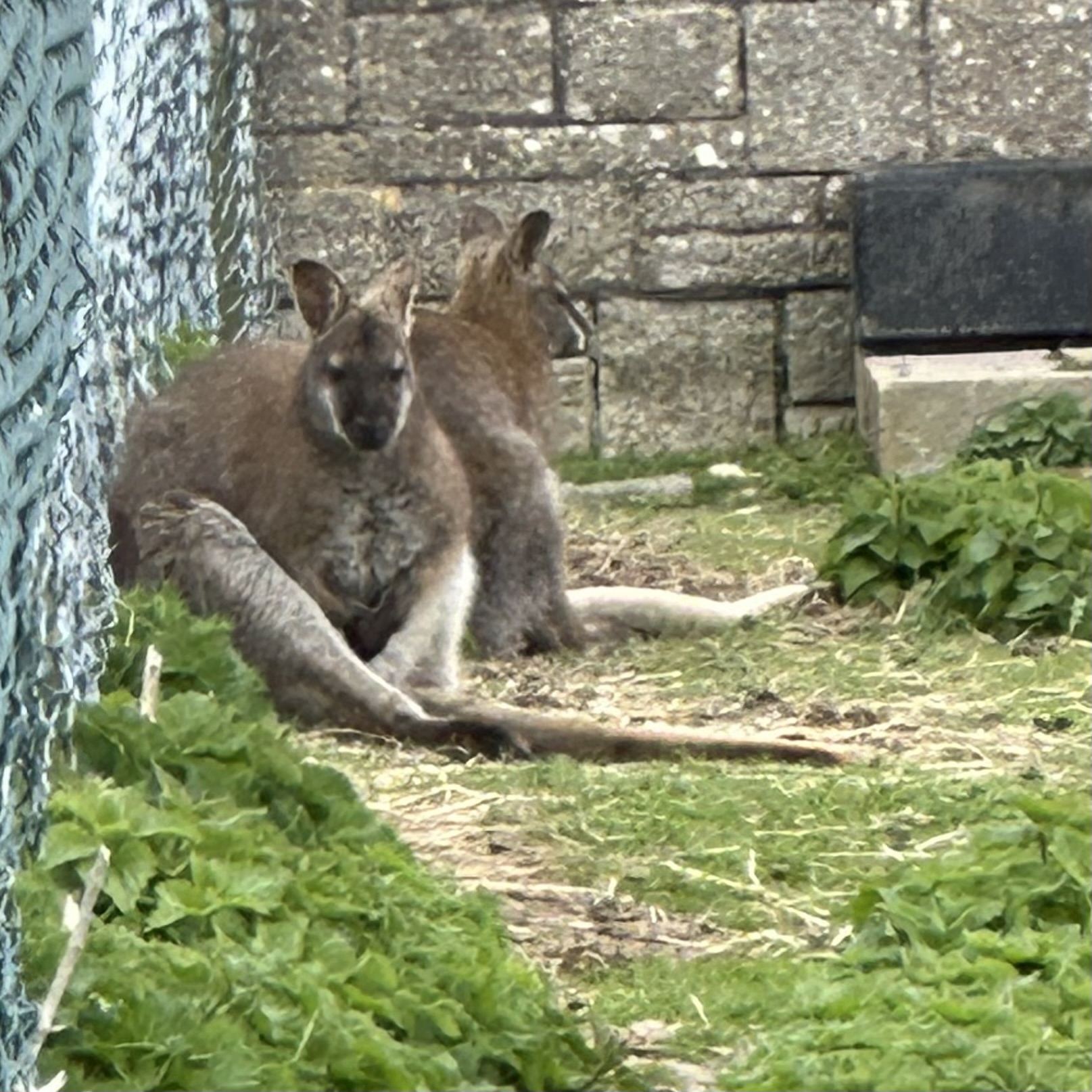 Day 154: Portland circular