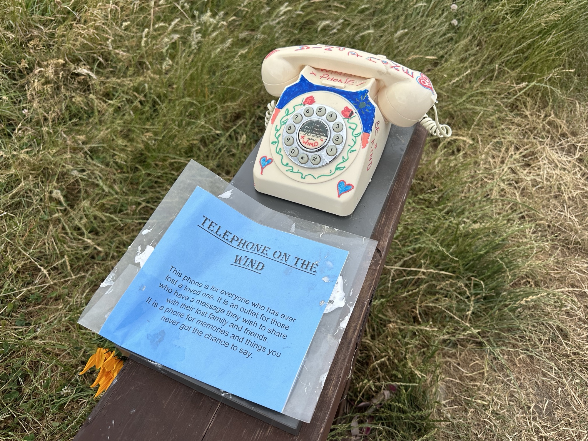 Day 239: Sunderland to Blyth (7 million steps)