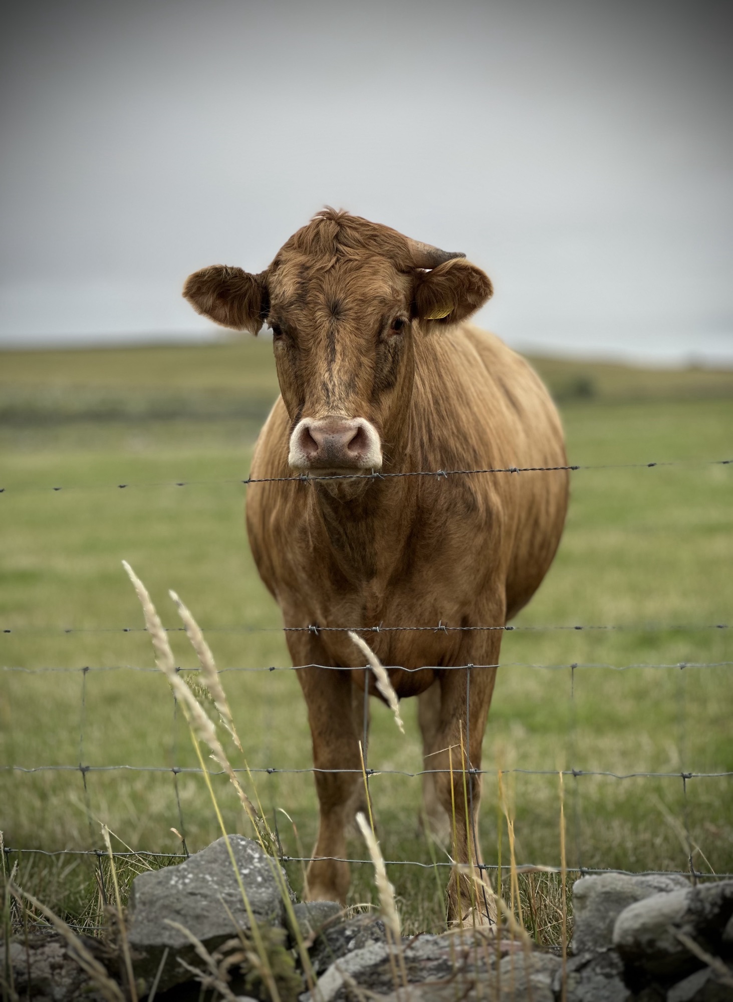 Day 273: Fraserburgh to Gardenstown