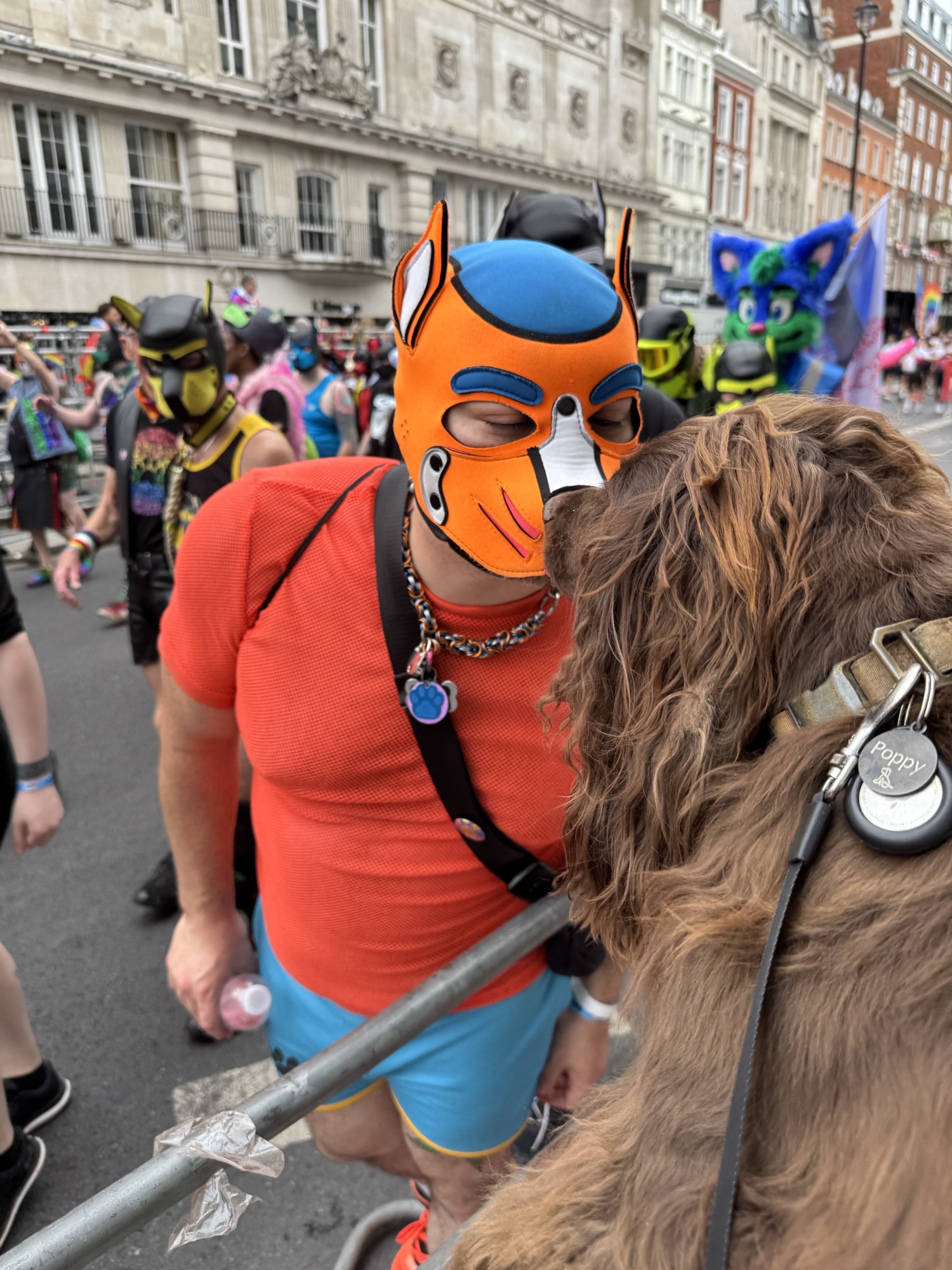 Day 247: rest day – returning to Newcastle