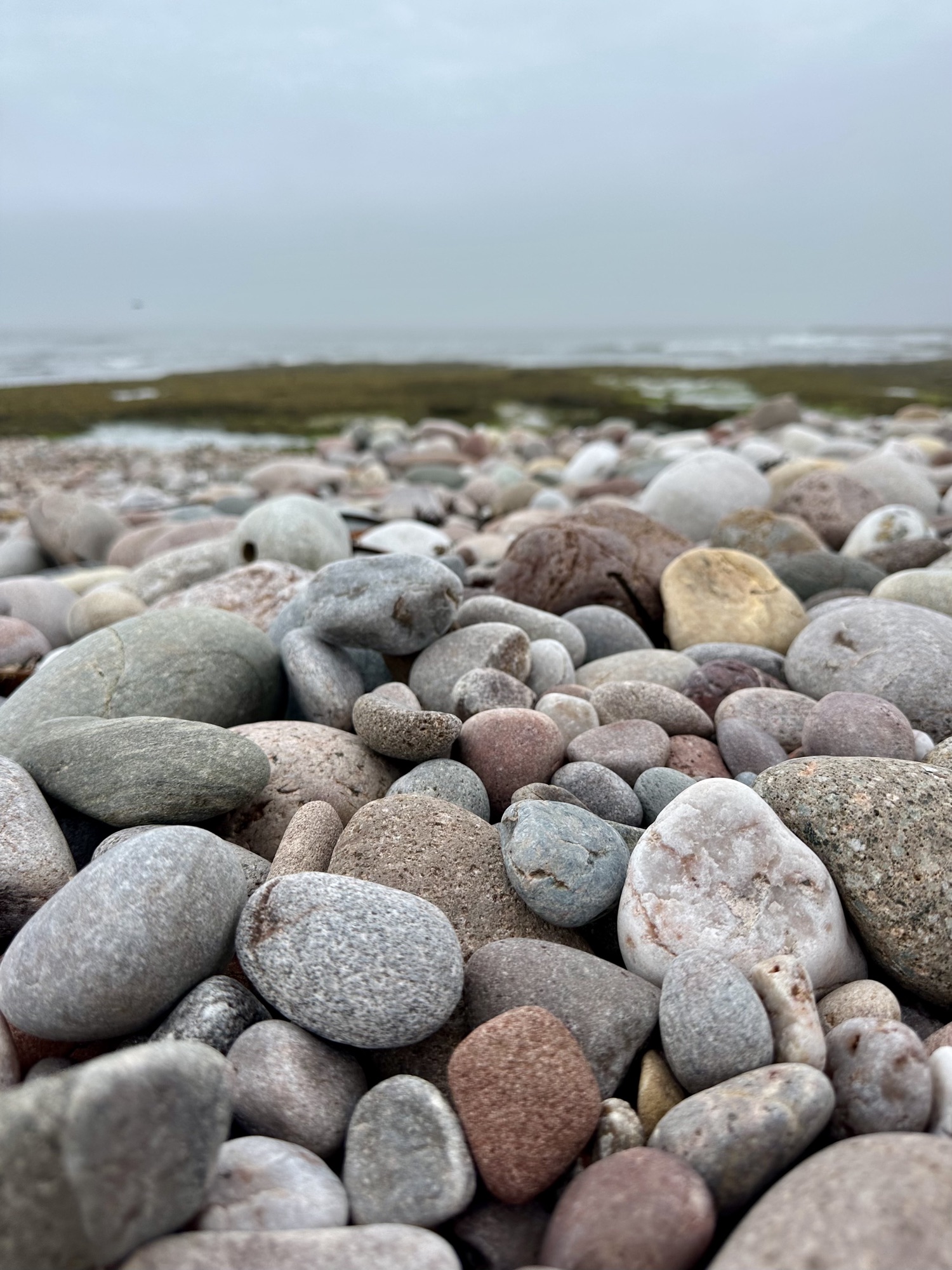 Day 262: Carnoustie to Lunan Bay