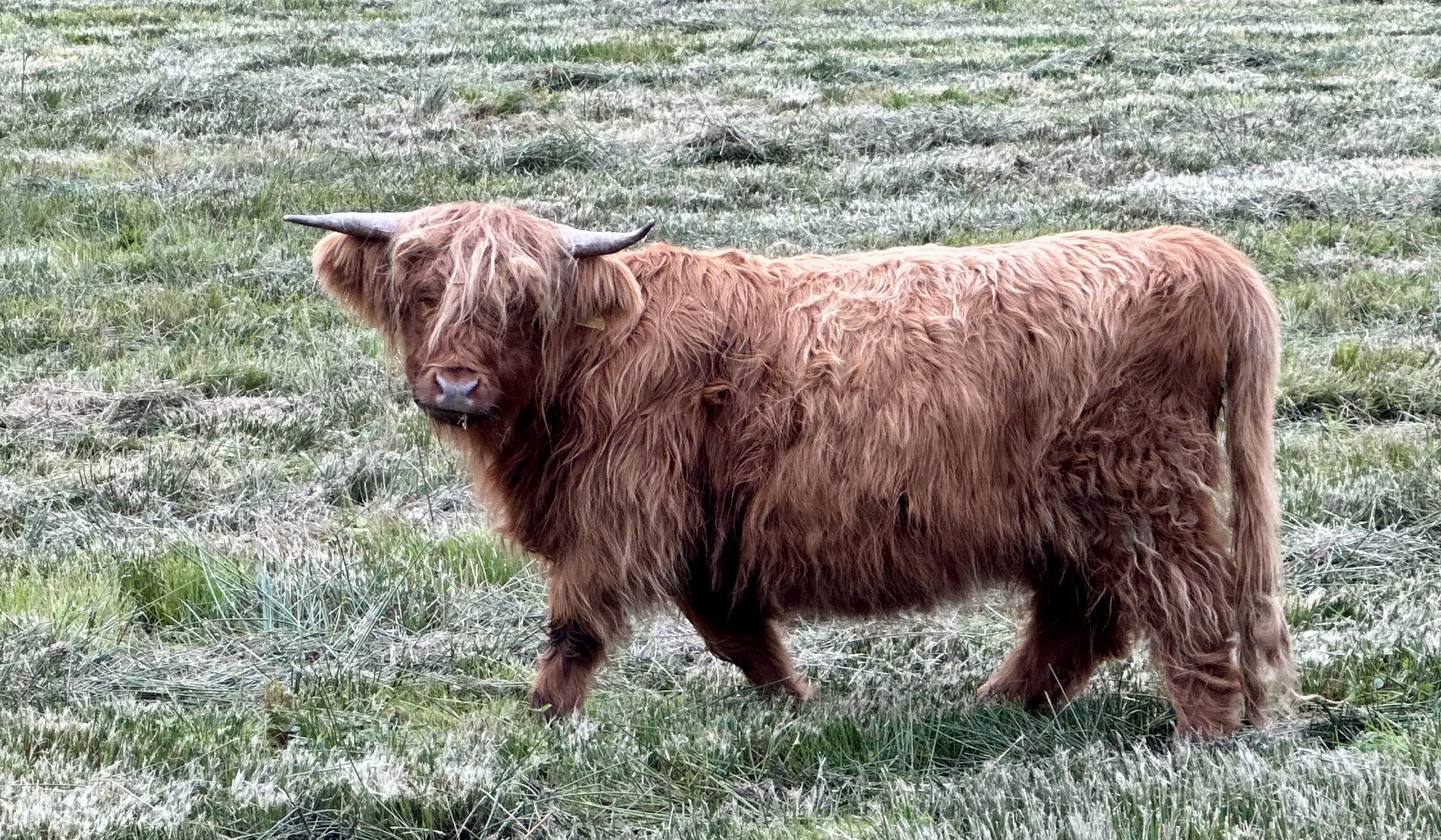 Day 348: Tarbert to Clachan