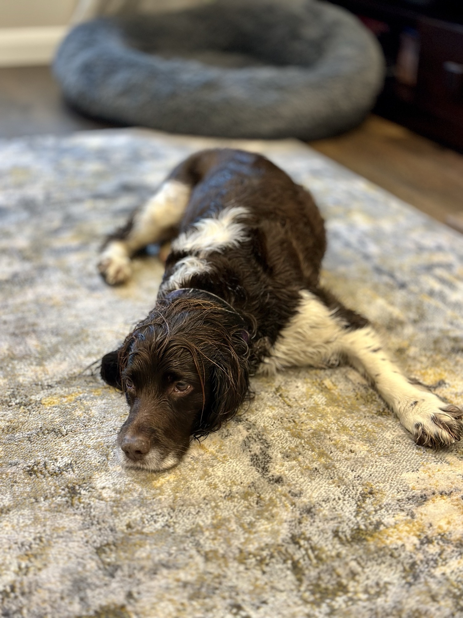 Day 336: rest day travel to Glasgow