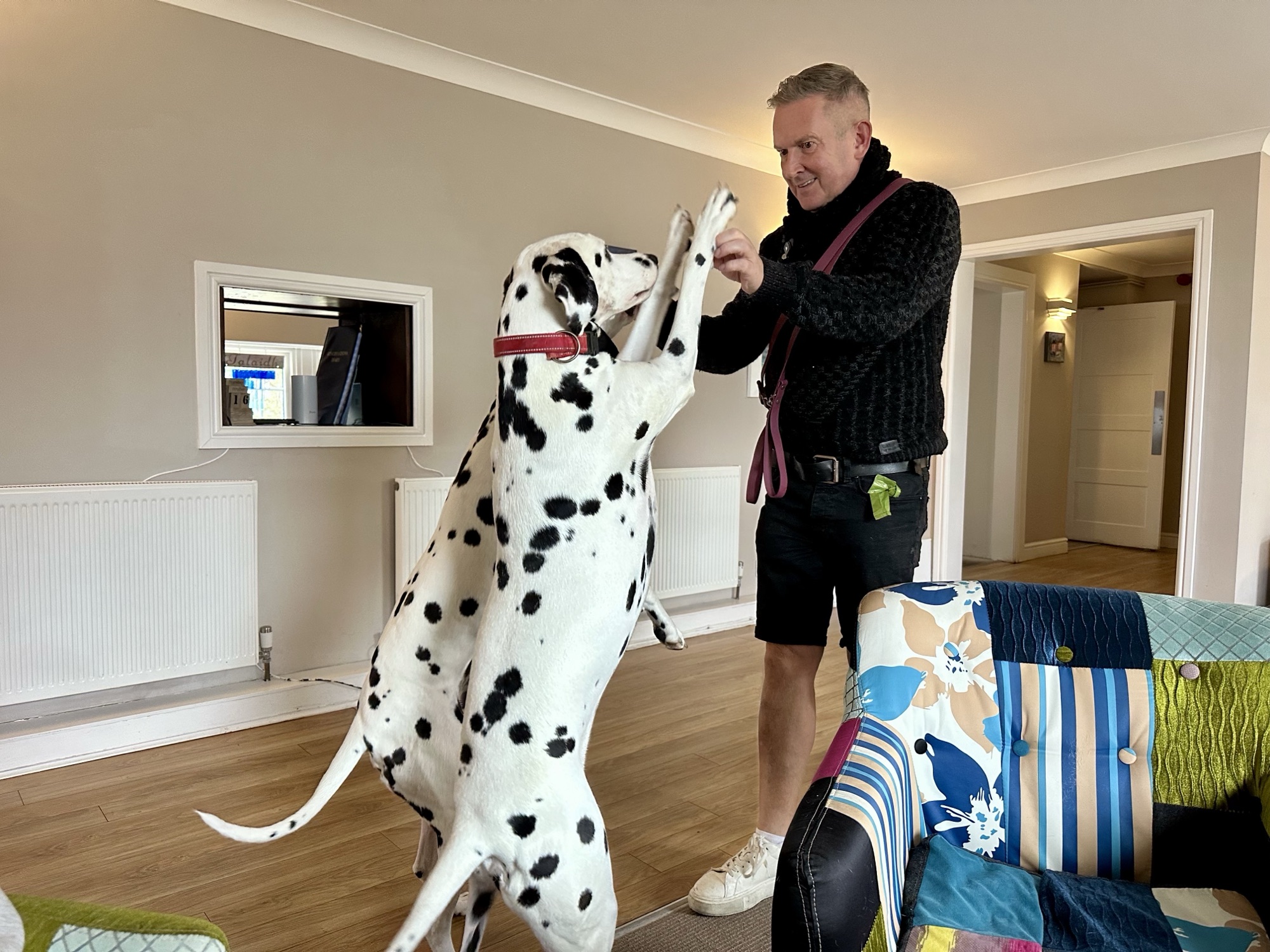 Day 350: Mausdale to Campbelltown