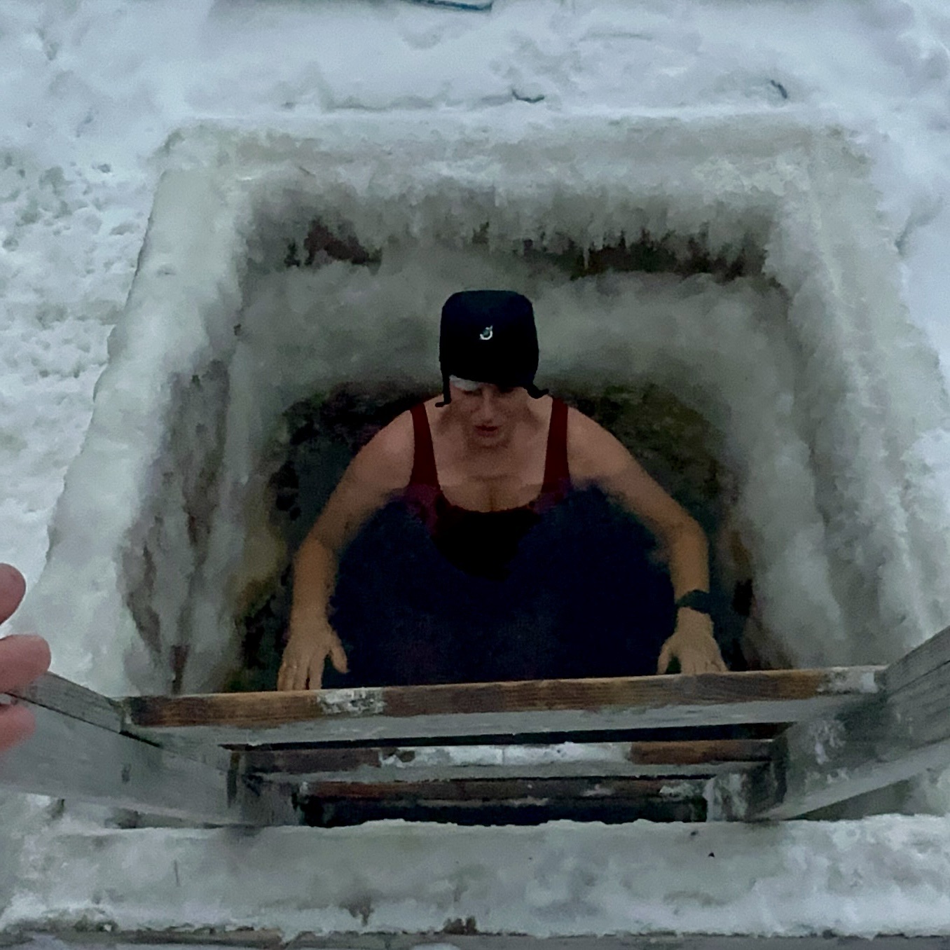 From Huskies to Ice Holes: Tracey Who Submerges